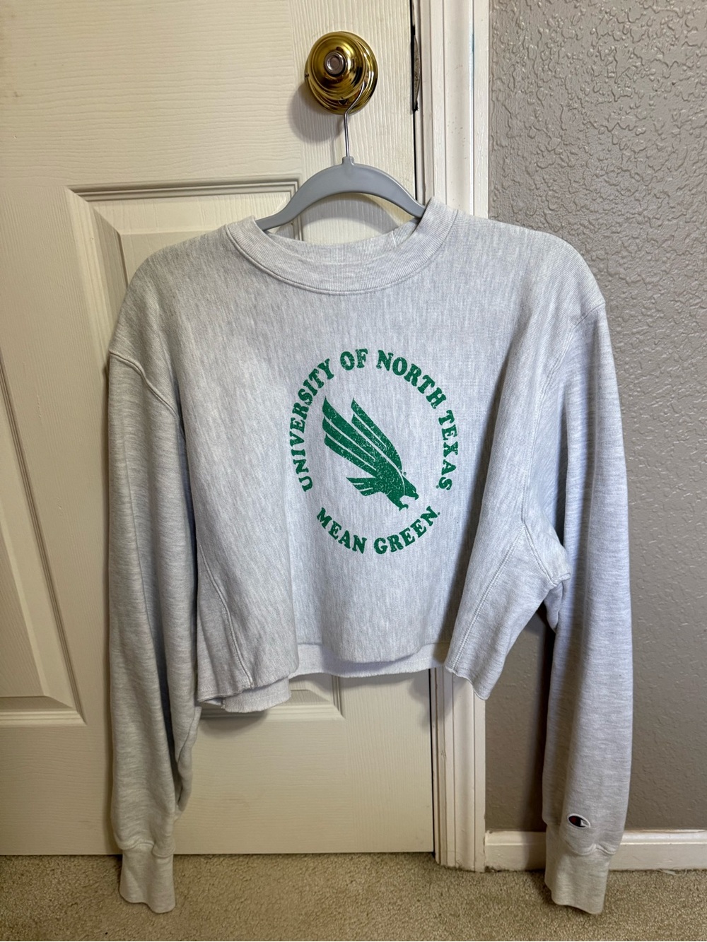 University of North Texas Cropped Champion Sweatshirt
